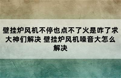 壁挂炉风机不停也点不了火是咋了求大神们解决 壁挂炉风机噪音大怎么解决